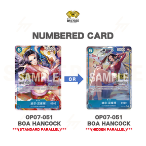 One Piece - 2nd ANNIVERSARY SET (Simplified Chinese)