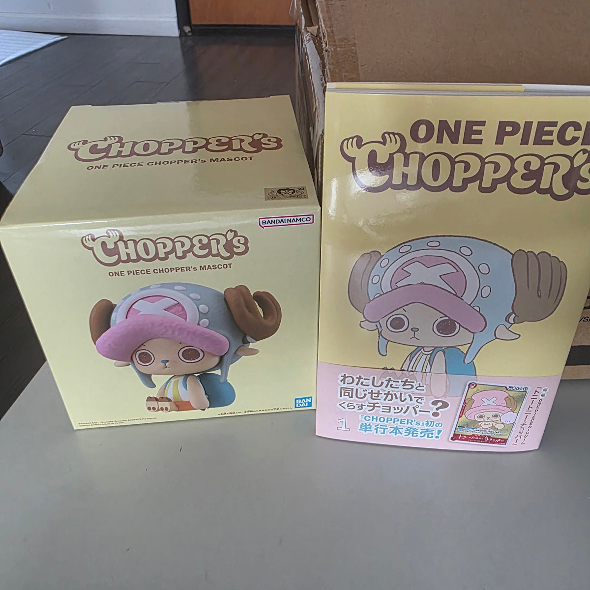 Chopper figure with book and promo card