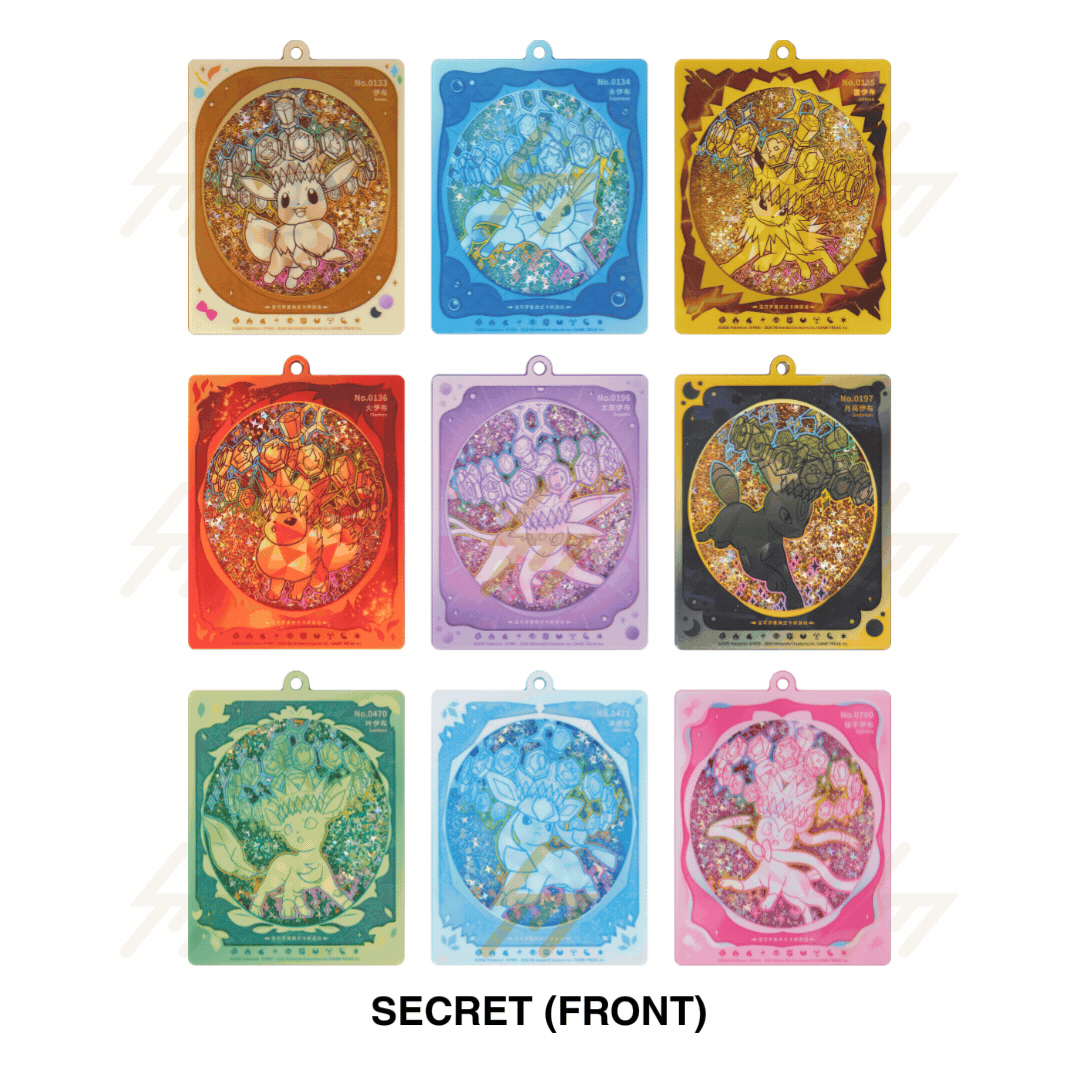 Pokemon TCG - Scarlet & Violet - Terastal Grand Gathering Acrylic Shaker Key Chain Card Frame Set (Simplified Chinese)
